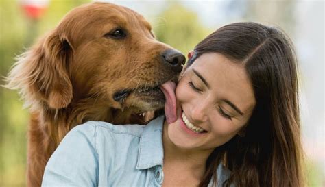 mujer folla con caballo|Chica cogida por un perro